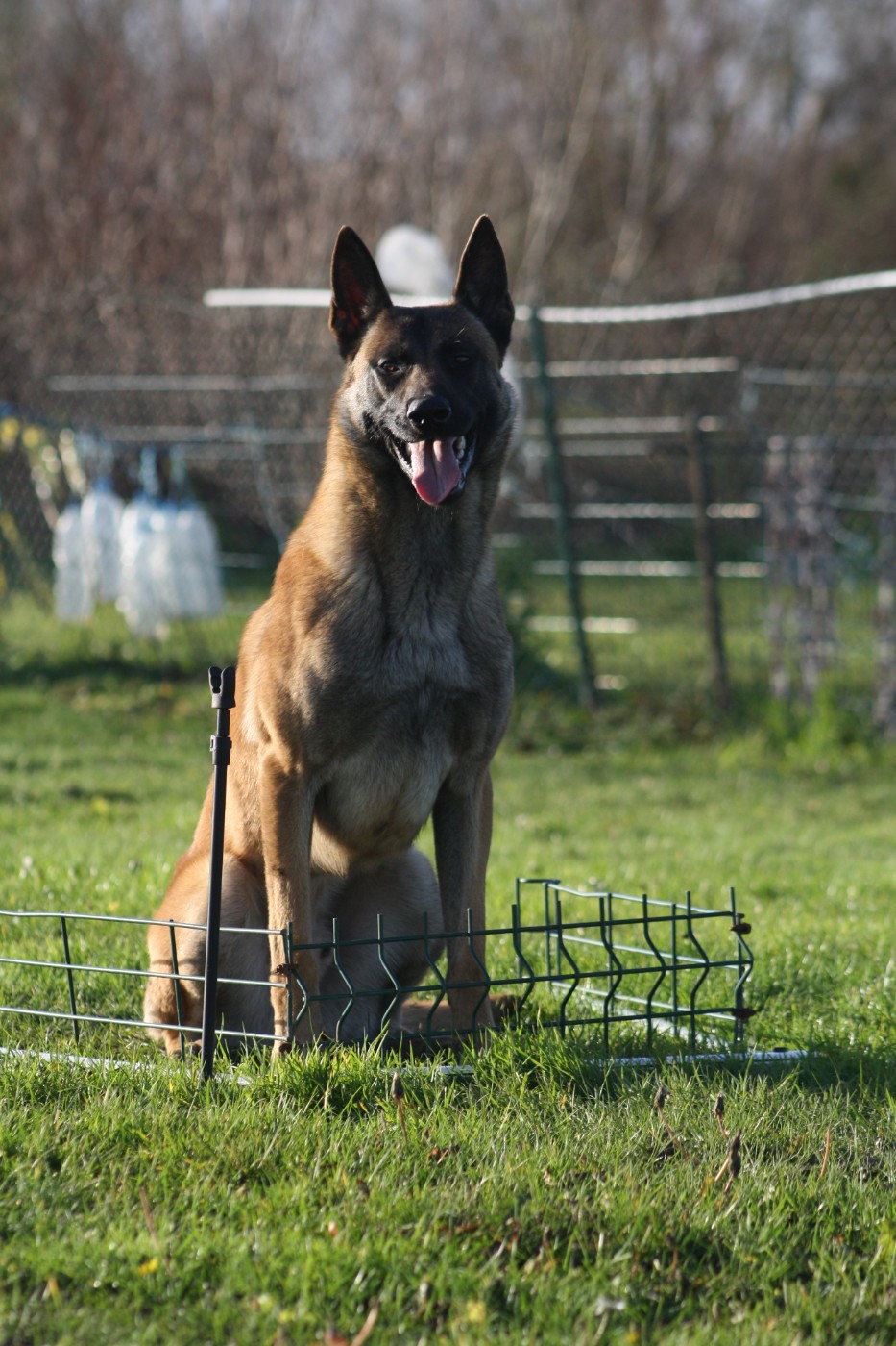 Oural DU DOMAINE DES SIX BOURGEOIS